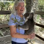  Bingo Koala, Gorge Wildlife Park South Australia.1
